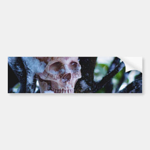 Arcane Winter I Bumper Sticker