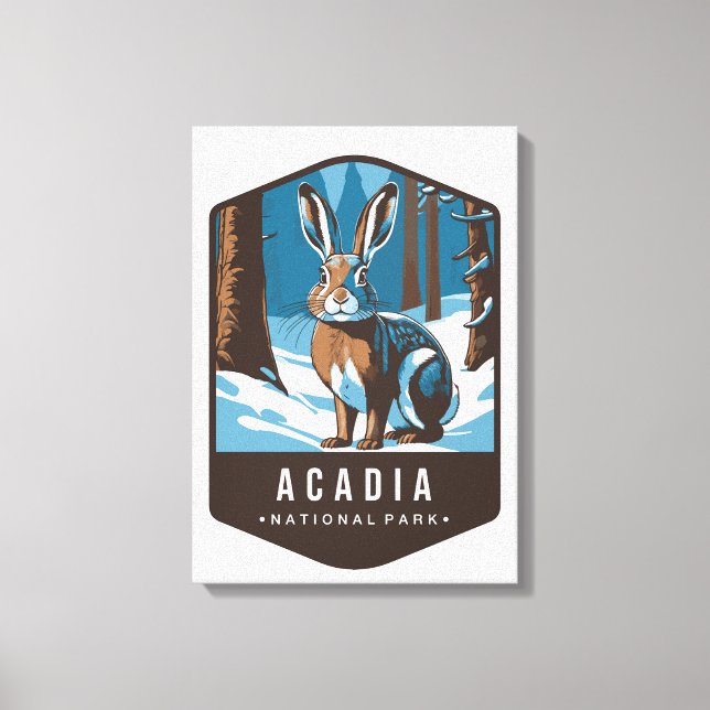 ARCDIA NATIONAL PARK Stretched Canvas Print (Front)