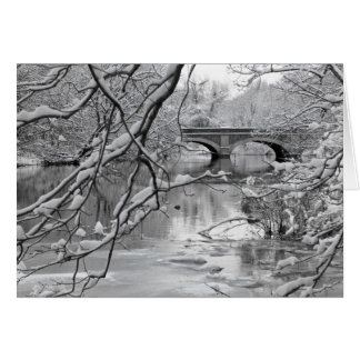 Arch Bridge over Frozen River in Winter