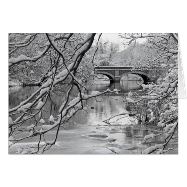 Arch Bridge over Frozen River in Winter (Front Horizontal)