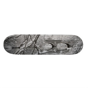 Arch Bridge over Frozen River in Winter Skateboard