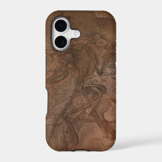 Archaeopteryx fossil - Casemate