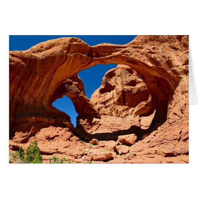 Arche double (Devant horizontal)