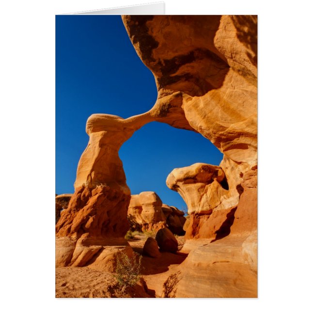 Arche en métal (Devant)