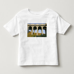 Arched supports Patterson Memorial Bridge Toddler T-shirt