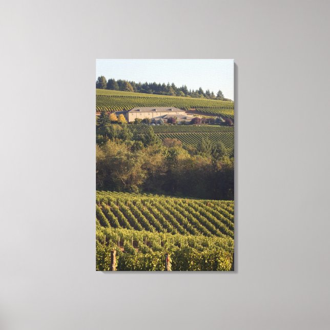 Archery Summit tan building sits atop hill Canvas Print (Front)