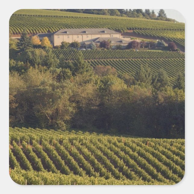 Archery Summit tan building sits atop hill Square Sticker (Front)