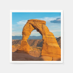 Arches National Park MOAB Utah Napkin