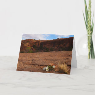 Arches Slickrock and Evening Primrose Landscape Card