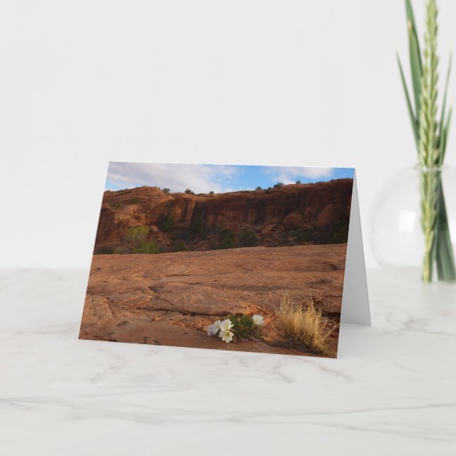 Arches Slickrock and Evening Primrose Landscape Card (Front)