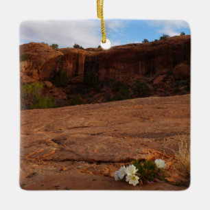 Arches Slickrock and Evening Primrose Landscape Ceramic Ornament