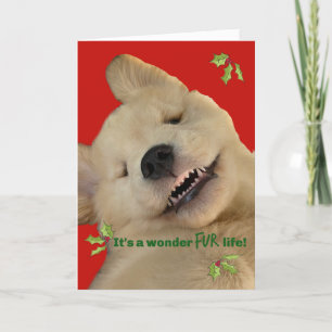 Archie Christmas Smile Thank You Card