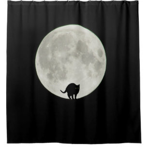 Arching Black Cat and Full Moon