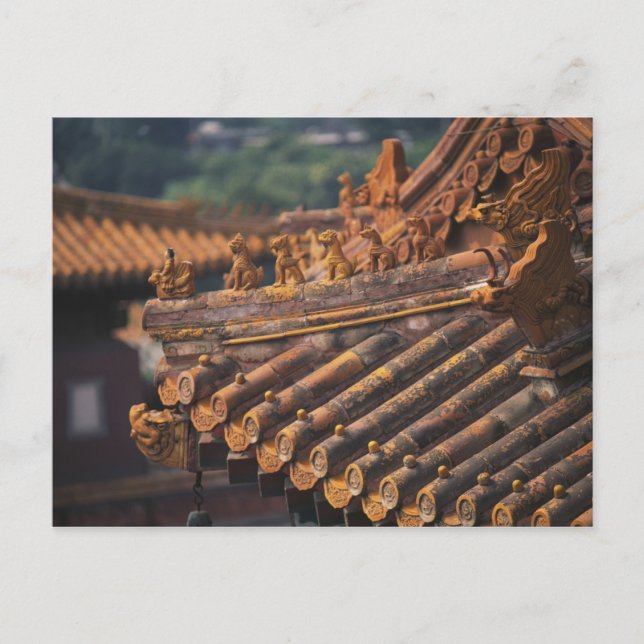 Architectural details in the Forbidden City, Postcard (Front)