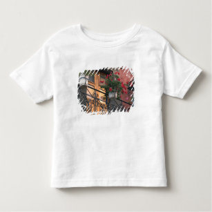 Architecture on the streets of San Miguel de Toddler T-shirt