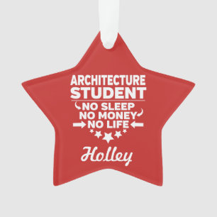 Architecture Student No Life or Money Ornament