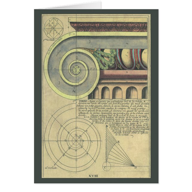 Architecture vintage ; Capital Volute par Vignola (Devant)