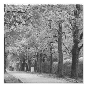 "Archway" photoprint Photo Print