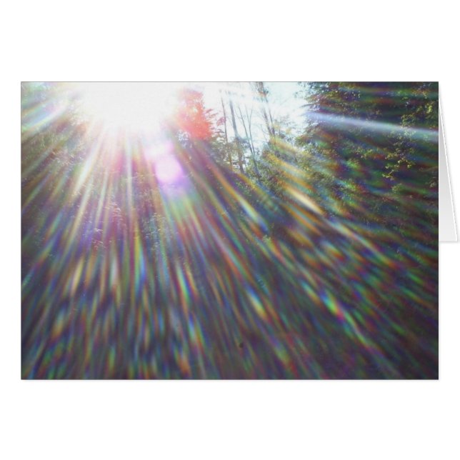 Arcs-en-ciel dans les arbres (Devant horizontal)