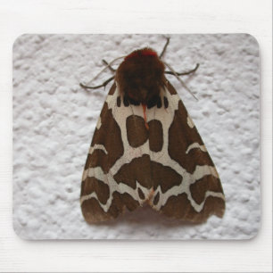 Arctia caja mouse pad