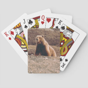 Arctic Alaska Tundra Grizzly Sow Photo Designed Playing Cards