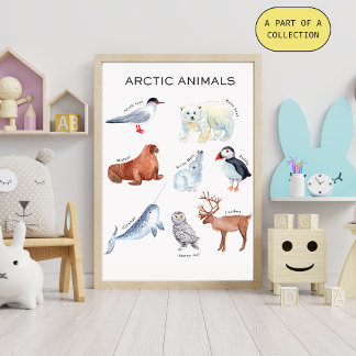 Arctic Animals Educational Poster