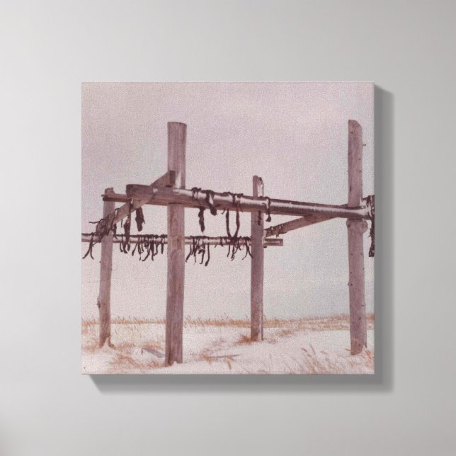 Arctic Caribou Meat Drying Rack Pt. Lay Village AK Canvas Print (Front)