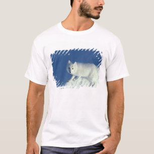 Arctic fox Alopex lagopus) An arctic fox T-Shirt