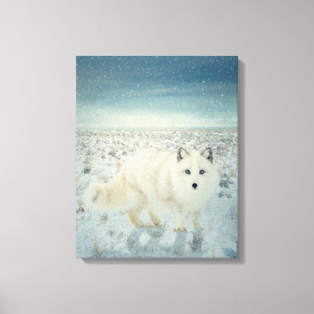 Arctic Fox Canvas Print (Front)