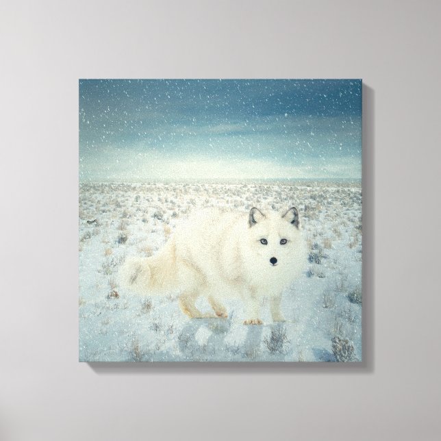 Arctic Fox Canvas Print (Front)