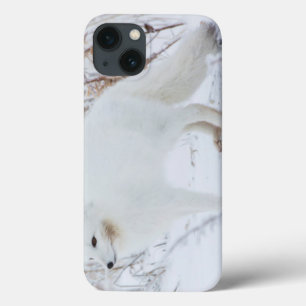 Arctic Fox iPhone 13 Case