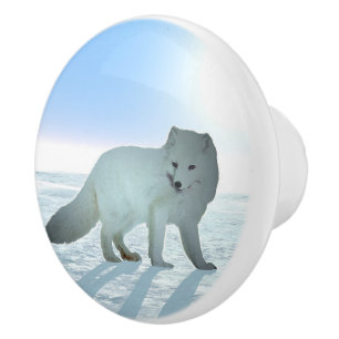 Arctic Fox Ceramic Knob