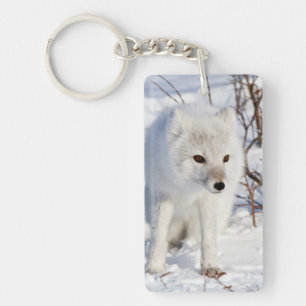 Arctic Fox , Churchill Wildlife Management Area Keychain