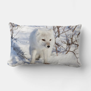 Arctic Fox , Churchill Wildlife Management Area Lumbar Pillow