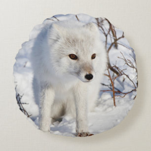 Arctic Fox , Churchill Wildlife Management Area Round Pillow