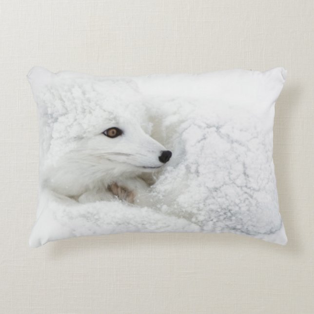 Arctic Fox curled up in winter Decorative Pillow (Front)