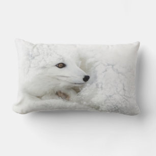 Arctic Fox curled up in winter Lumbar Pillow