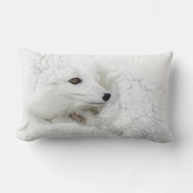 Arctic Fox curled up in winter Lumbar Pillow (Front)