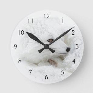 Arctic Fox curled up in winter Round Clock