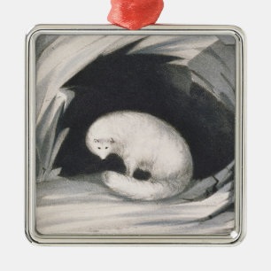 Arctic Fox, from 'Narrative of a Second Voyage in Metal Ornament