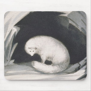 Arctic Fox, from 'Narrative of a Second Voyage in Mouse Pad