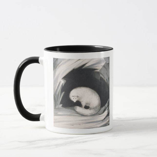 Arctic Fox, from 'Narrative of a Second Voyage in Mug (Left)