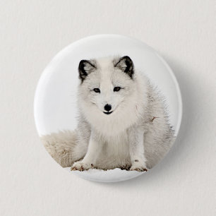 Arctic Fox in the Snow 2 Inch Round Button