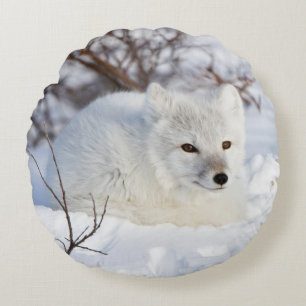 Arctic Fox in winter Round Pillow