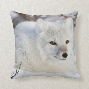 Arctic Fox in winter Throw Pillow