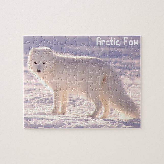 Arctic fox jigsaw puzzle (Horizontal)