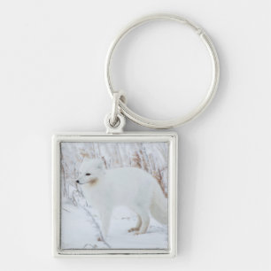 Arctic Fox Keychain
