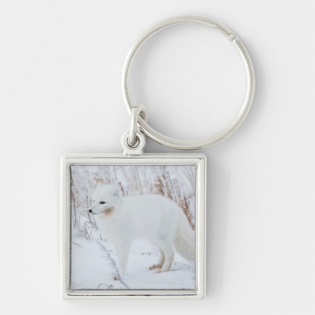 Arctic Fox Keychain (Front)