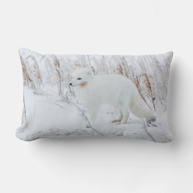 Arctic Fox Lumbar Pillow (Front)