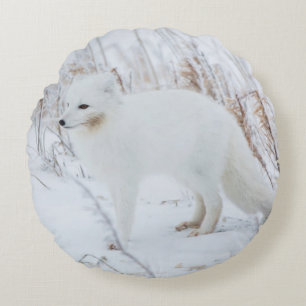 Arctic Fox Round Pillow
